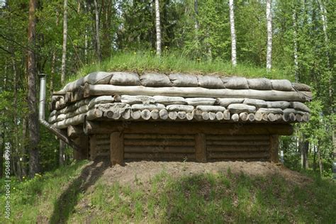 Dugout building from wood logs, the architectural construction view in a wooded environment. The ...