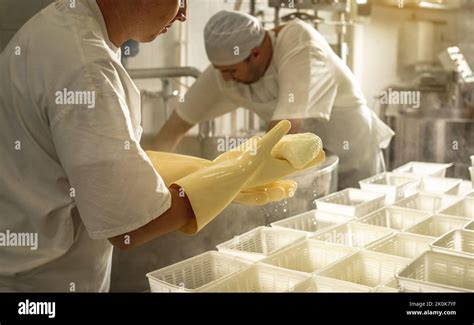 process  producing  varieties  cheese  industry