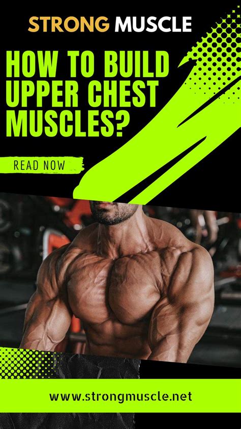 How To Build Upper Chest Muscles Chest Muscles Muscle Building Workouts Best Full Body Workout