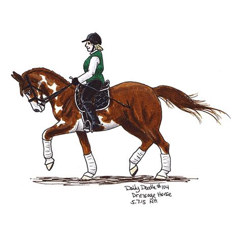 Dressage Horse Drawing at PaintingValley.com | Explore collection of ...