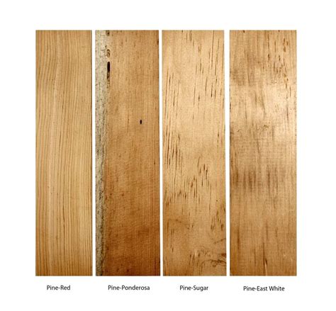 17 Different Types of Pine Wood