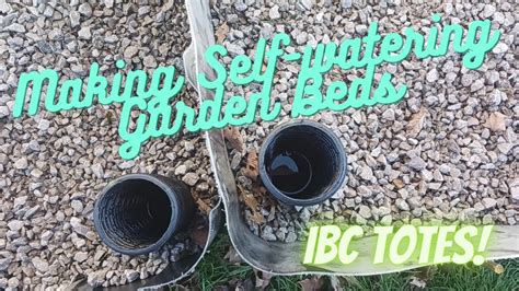 Ibc Tote Self Watering Garden Bed Part Youtube