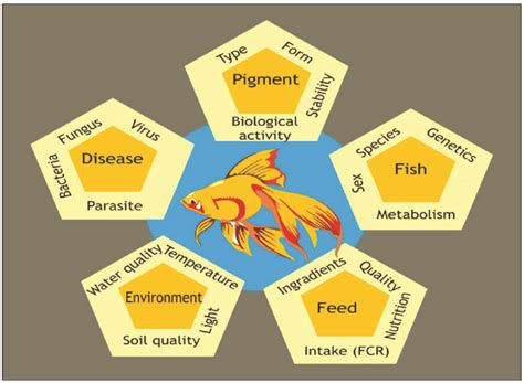 Relationship Among Various Factors Bringing Out Effective Pigmentation