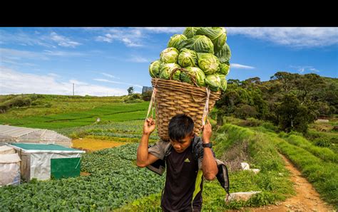 Technical tips videos