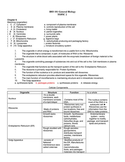 Week Hw Ch Worksheet Bio General Biology Topic Chapter