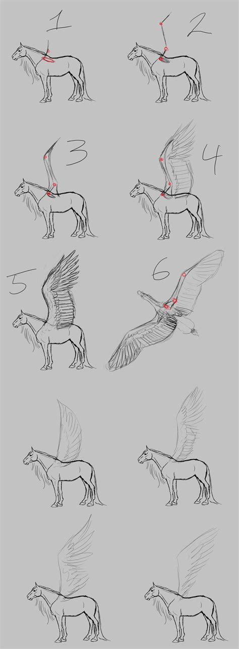 Pegasus Wing Tutorial By Wstopdeck On Deviantart