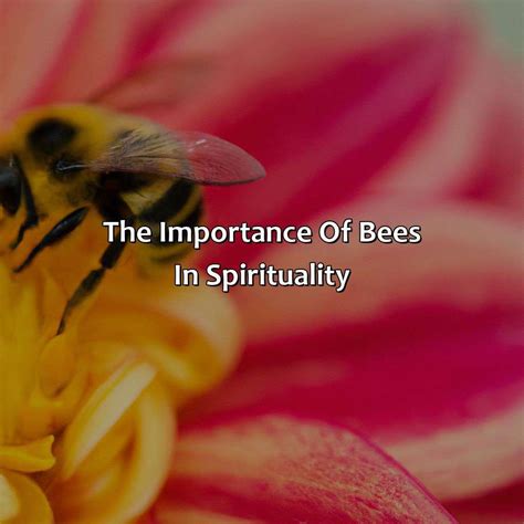 What Is The Spiritual Meaning Of Bees Relax Like A Boss