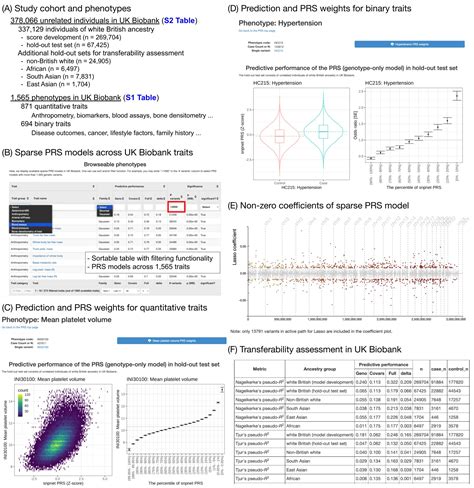 Significant Sparse Polygenic Risk Scores Across 813 Traits In Uk