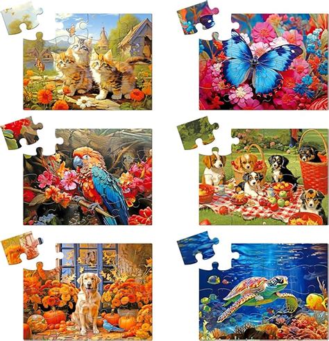 Amazon Libima 6 Pack 16 Large Piece Jigsaw Puzzles For Seniors