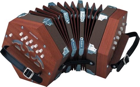 Hohner D40 Concertina Accordion : Amazon.ca: Musical Instruments, Stage ...