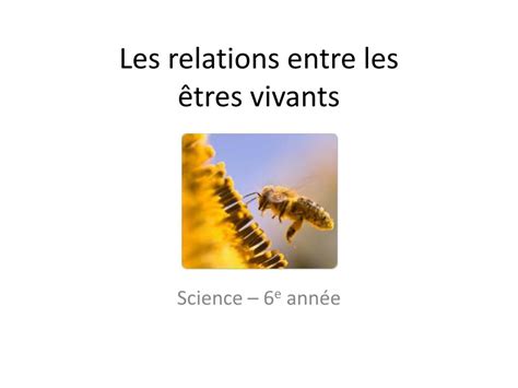 Ppt Les Relations Entre Les Tres Vivants Powerpoint Presentation