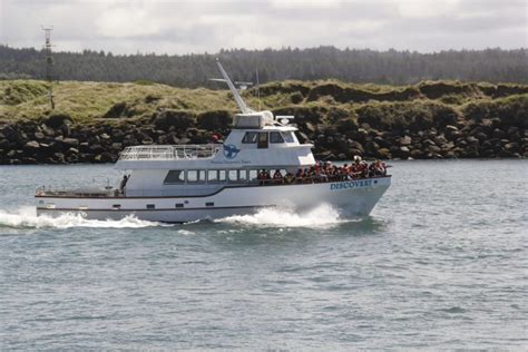 Gallery Marine Discovery Tours