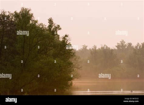 Nationaal Park De Biesbosch Nederland Hi Res Stock Photography And