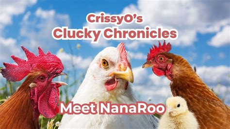 Cluck Yeah NanaRoo S Back Story YouTube