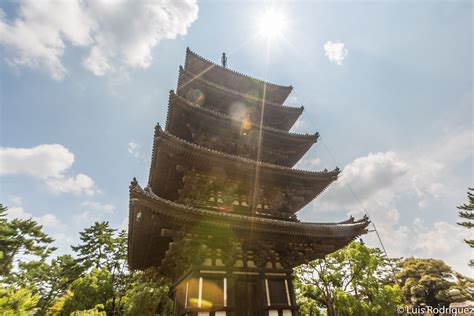 El Templo Todaiji Y El Resto Del Parque De Nara Japonismo