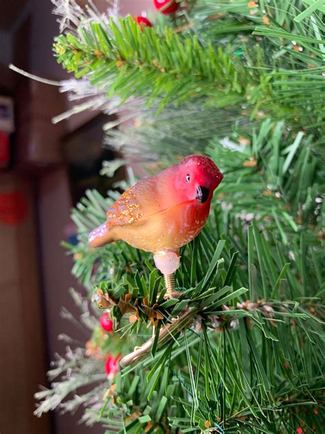 Clip on Birds Glass Birds Old World Christmas Ornaments - Etsy