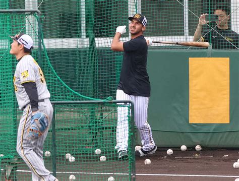 ＜阪神宜野座キャンプ＞屋外フリー打撃で久保田投手コーチ（手前）からさく越えを放つゲラ（撮影・北條 貴史） ― スポニチ Sponichi