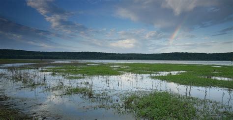 Marais Des Cygnes National Wildlife Refuge Celebrates 30 Years