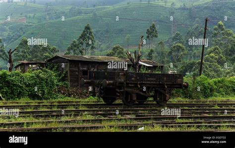 Scenery when taking the train in Sri Lanka Stock Photo - Alamy