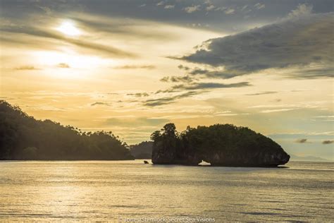 Bird S Head Seascape Last Frontier A New Triton Bay Dive Site By