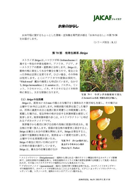 刊行物 JAICAF 公益社団法人 国際農林業協働協会