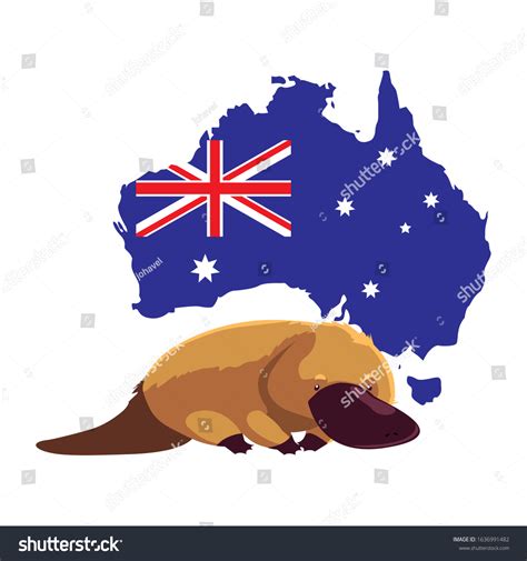 Platypus Map Australia Background Vector Illustration Stock Vector