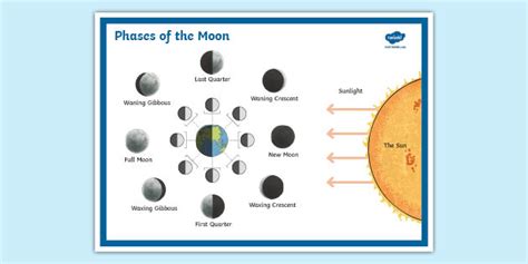 Southern Hemisphere Phases Of The Moon Display Poster