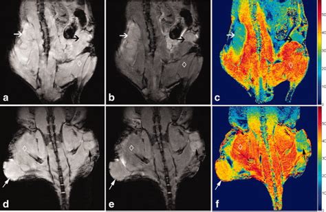 Coronal MR images of xenograft mouse models; images in the top row are ...