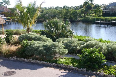 Native Coastal Planting Design Beach Style Landscape Miami By