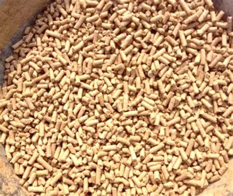 Feed Grade Supplementary Cattle Feed Granules At Best Price In Pune