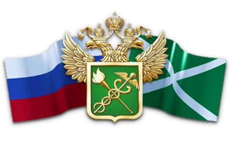 Таможня картинки пнг