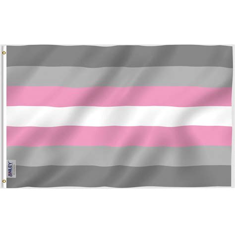 Buy Anley Fly Breeze 3x5 Foot Demigirl Pride Vivid Color And Fade