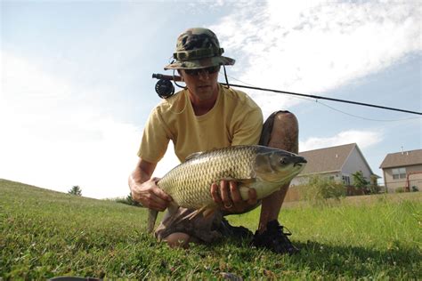 Currents Grass Carp On The Fly