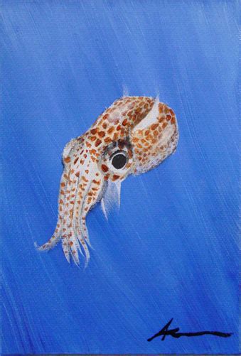 Bobtail Squid « Antemortem Arts | Fine Art & Custom Paintings