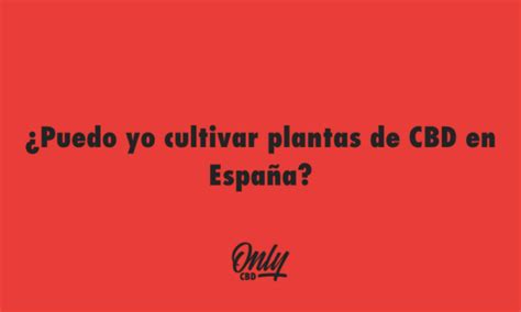 Puedo yo cultivar plantas de CBD en España OnlyCBDFans