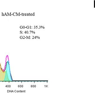 To Study The Cell Cycle Phase Distribution In Mda Mb Cells With And