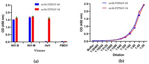 Viruses Free Full Text Detection Of Nipah And Hendra Viruses Using