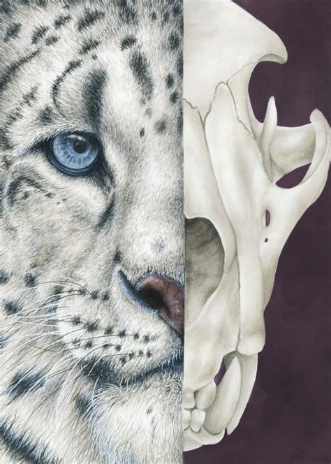 Snow Leopard Skull Aesthetic Wall Art Poster Print - Etsy