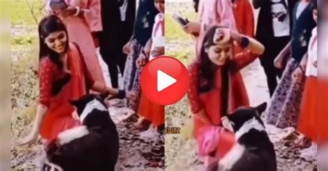 Girl Dancing On Kala Chashma In Front Of Dog Ladki Dance With Doggy