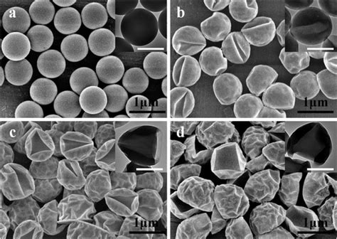 Sem Images Of Ps P St Mps Composite Particles Cp Cp