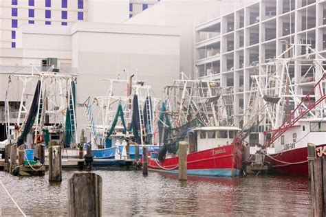 Gulf Coast Cuisine A Seafood Lovers Dream