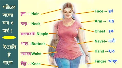 Parts Of The Body In English Human Body Parts Names Learn