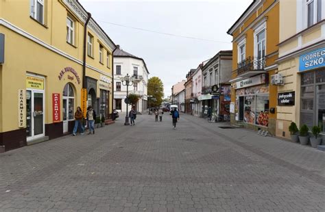 Na ul Grunwaldzkiej pojawi się ponad 50 drzew Rzeszów Aktualności