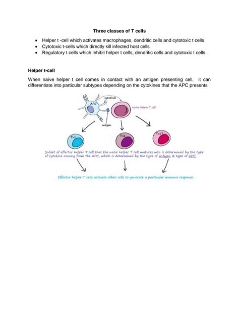 SOLUTION: Three types of immune cells - Studypool