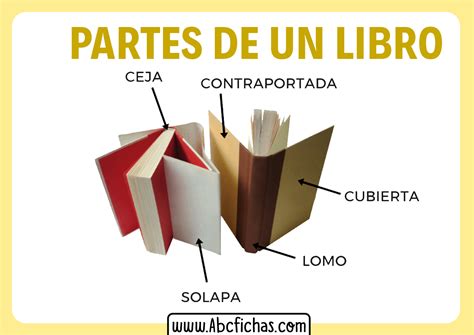 Conoce Las Partes De Un Libro Y Enriquece Tu Conocimiento Literario