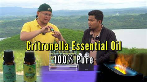 Citronella Essential Oil 100 Pure Youtube