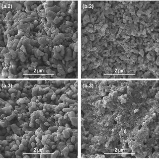 Sem Images Of Alumina A And Zirconia B Specimens Sintered At