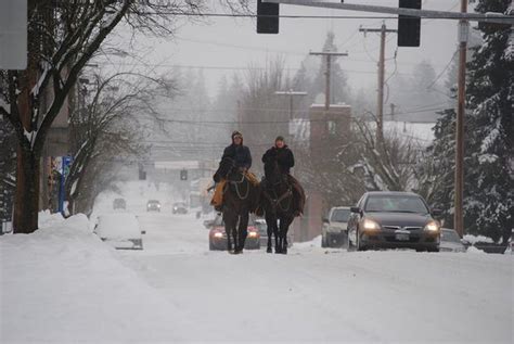 Forest Grove: A special place indeed (editorial) - oregonlive.com