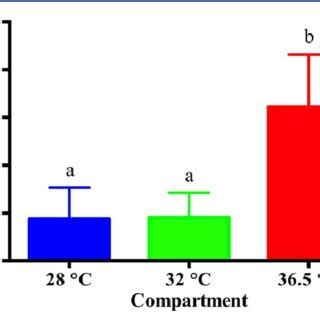 PDF Temperature Preference And Sex Differentiation In African Catfish