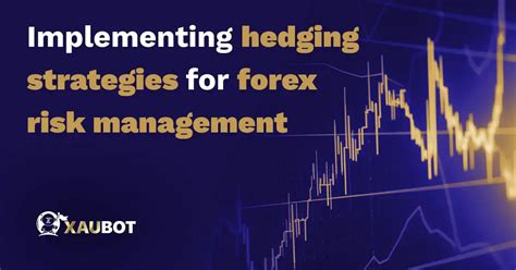 Implementing Hedging Strategies For Forex Risk Management Xaubot